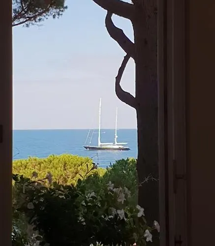 Alba Apartment